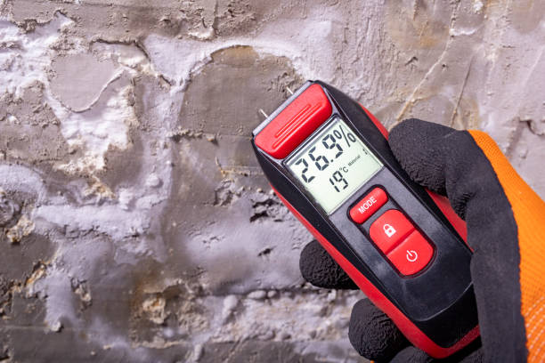 Best Insurance-Related Mold Remediation in Hutchinson, KS