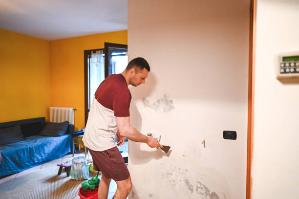 Best Residential Mold Remediation in Hutchinson, KS