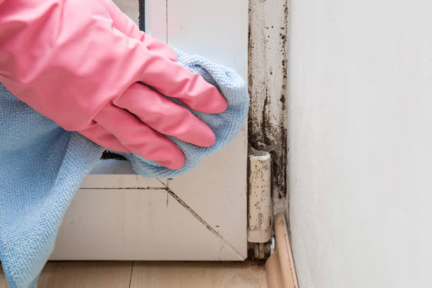 Hutchinson, KS Mold Remediation Company